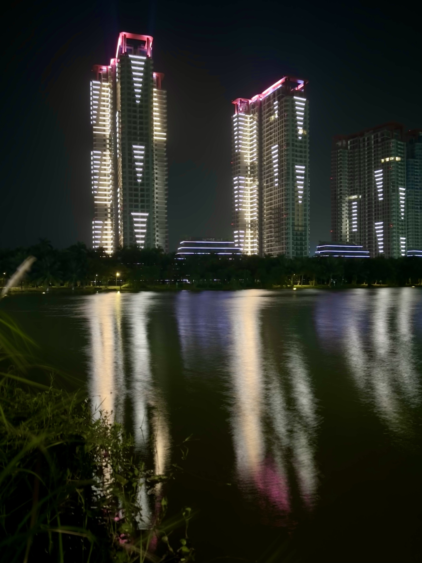 Swanlake By Light