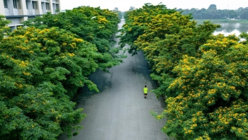 Ecopark - 