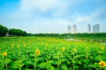 Ecopark - 
