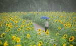 Ecopark - 