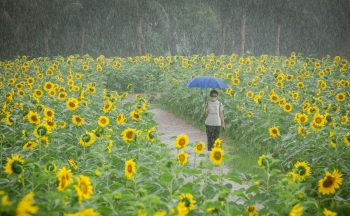 Ecopark - 