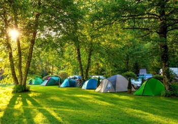 Trải nghiệm cắm trại qua đêm như trời Tây giữa không gian xanh KĐT Ecopark