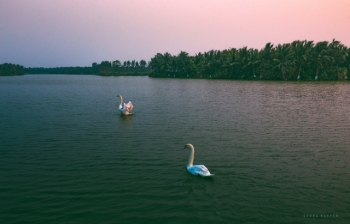 Trải nghiệm cắm trại qua đêm như trời Tây giữa không gian xanh KĐT Ecopark